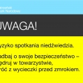 Uwaga, niedźwiedź! Posłuchaj.