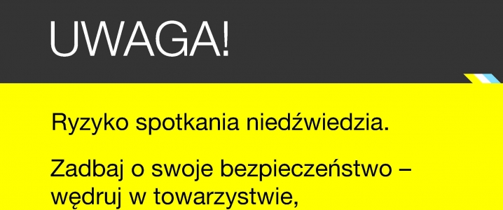 Uwaga, niedźwiedź! Posłuchaj.