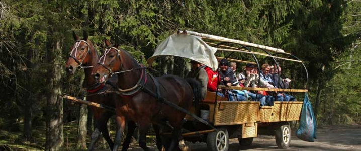 Transport konny. Nowy regulamin