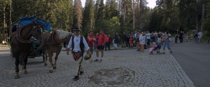 Dobra wiadomość dla... koni