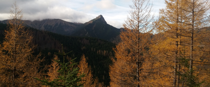 Widok na Długi Giewont spod Skupniowego Upłazu. Fot. Marcin Strączek-Helios