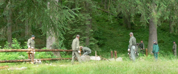 Osadzeni podczas pracy w Parku