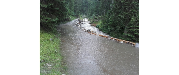 Dolina Miętusia