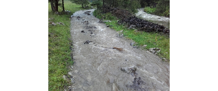 Dolina Miętusia