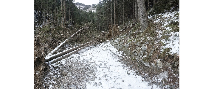 Zielony szlak Kuźnice - Kasprowy Wierch / fot. Stanisław Wierzbanowski (TPN)