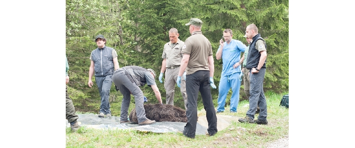 Fot. Józef Bobak/TPN