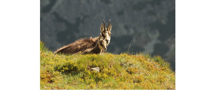 fot. Bogusława Chlipała