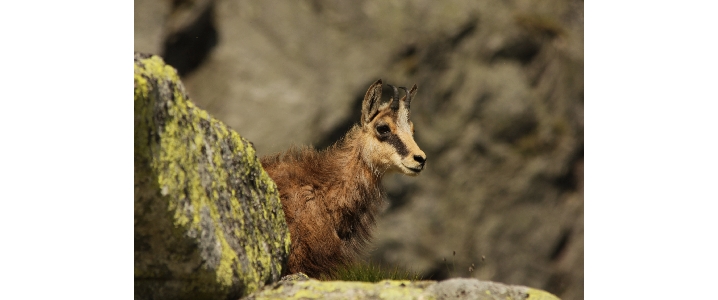 fot. Bogusława Chlipała