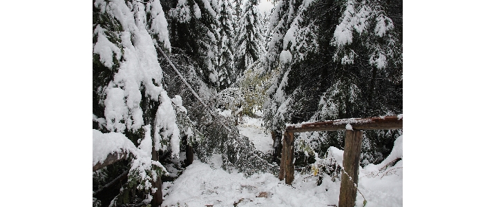 fot. Bogusława Chlipała