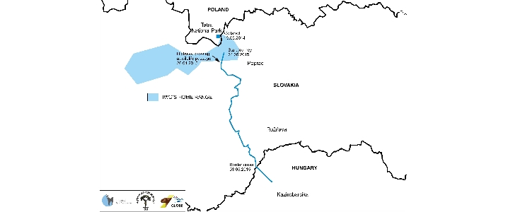 Trasa Iwa. Mapka opracowane przez Instytut Ochrony Przyrody PAN w Krakowie (wersja ang)