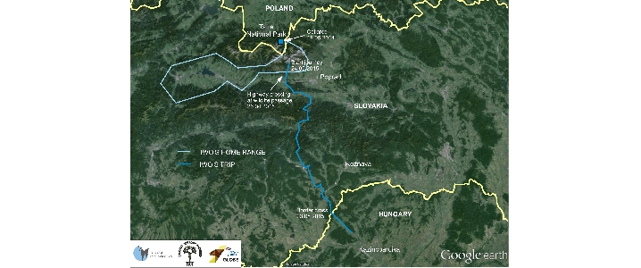 Trasa Iwa. Mapka opracowane przez Instytut Ochrony Przyrody PAN w Krakowie (wersja ang)